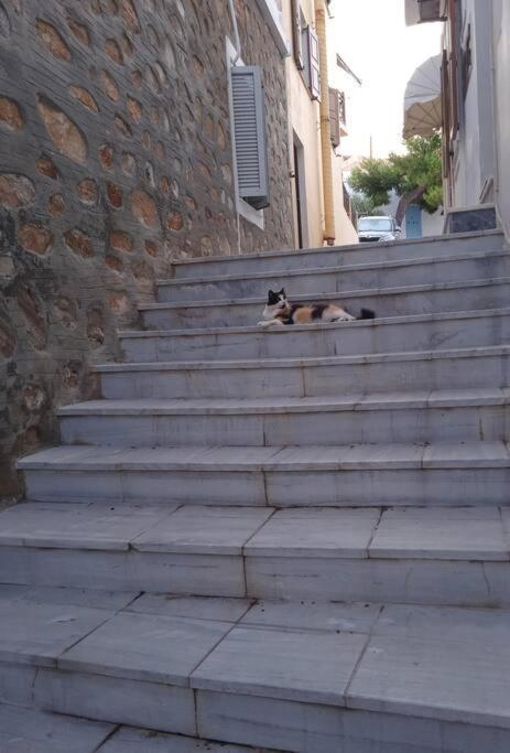 Syros Stone Yard House Villa แอร์มูโปลี ภายนอก รูปภาพ